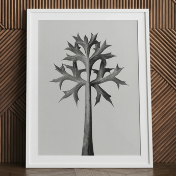 Eryngium Bourgatii (chardon de mer méditerranéen) - Impression d'art de Karl Blossfeldt, 24x32’’ / 61x81cm / Cadre blanc / Passe-partout de 2’’, Affiches Impressions &
