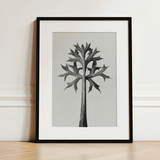 Eryngium Bourgatii (mediterranean Sea Holly) - Karl Blossfeldt Art Print / Canvas, 12x16’’ / 31x41cm / Black Frame / Matboard, Posters