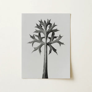 Eryngium Bourgatii (mediterranean Sea Holly) - Karl Blossfeldt Art Print / Canvas, 12x16’’ / 31x41cm / Unframed / no Border, Posters Prints