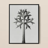 Eryngium Bourgatii (mediterranean Sea Holly) - Karl Blossfeldt Art Print / Canvas, 12x16’’ / 31x41cm / Black Frame, Posters Prints & Visual