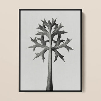 Eryngium Bourgatii (mediterranean Sea Holly) - Karl Blossfeldt Art Print / Canvas, 12x16’’ / 31x41cm / Black Frame, Posters Prints & Visual