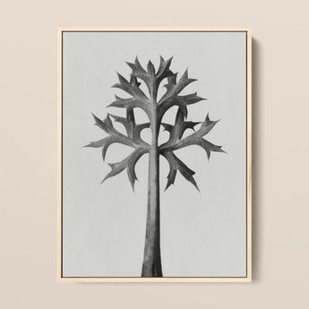 Eryngium Bourgatii (mediterranean Sea Holly) - Karl Blossfeldt Art Print / Canvas, 12x16’’ / 31x41cm / Natural Frame, Posters Prints &