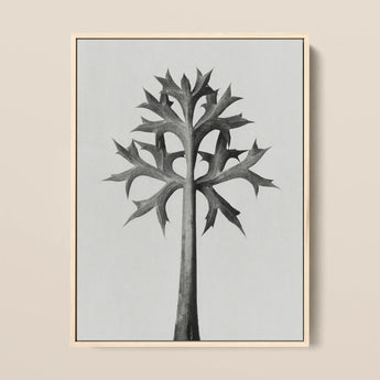 Eryngium Bourgatii (mediterranean Sea Holly) - Karl Blossfeldt Art Print / Canvas Minimalist Black-and-white Framed Artwork Stylized Tree