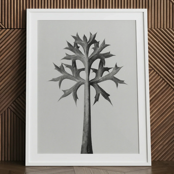 Eryngium Bourgatii (mediterranean Sea Holly) - Karl Blossfeldt Art Print / Canvas Minimalist Black-and-white Framed Artwork Stylized Tree