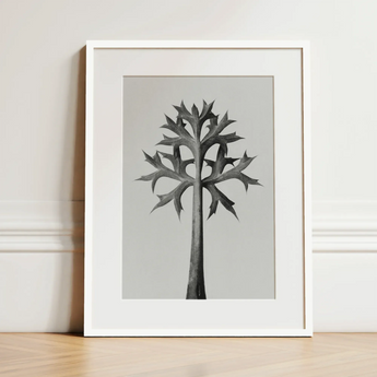 Eryngium Bourgatii (mediterranean Sea Holly) - Karl Blossfeldt Art Print / Canvas Minimalist Black-and-white Framed Art Print Stylized Tree