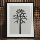 Eryngium Bourgatii (mediterranean Sea Holly) - Karl Blossfeldt Art Print