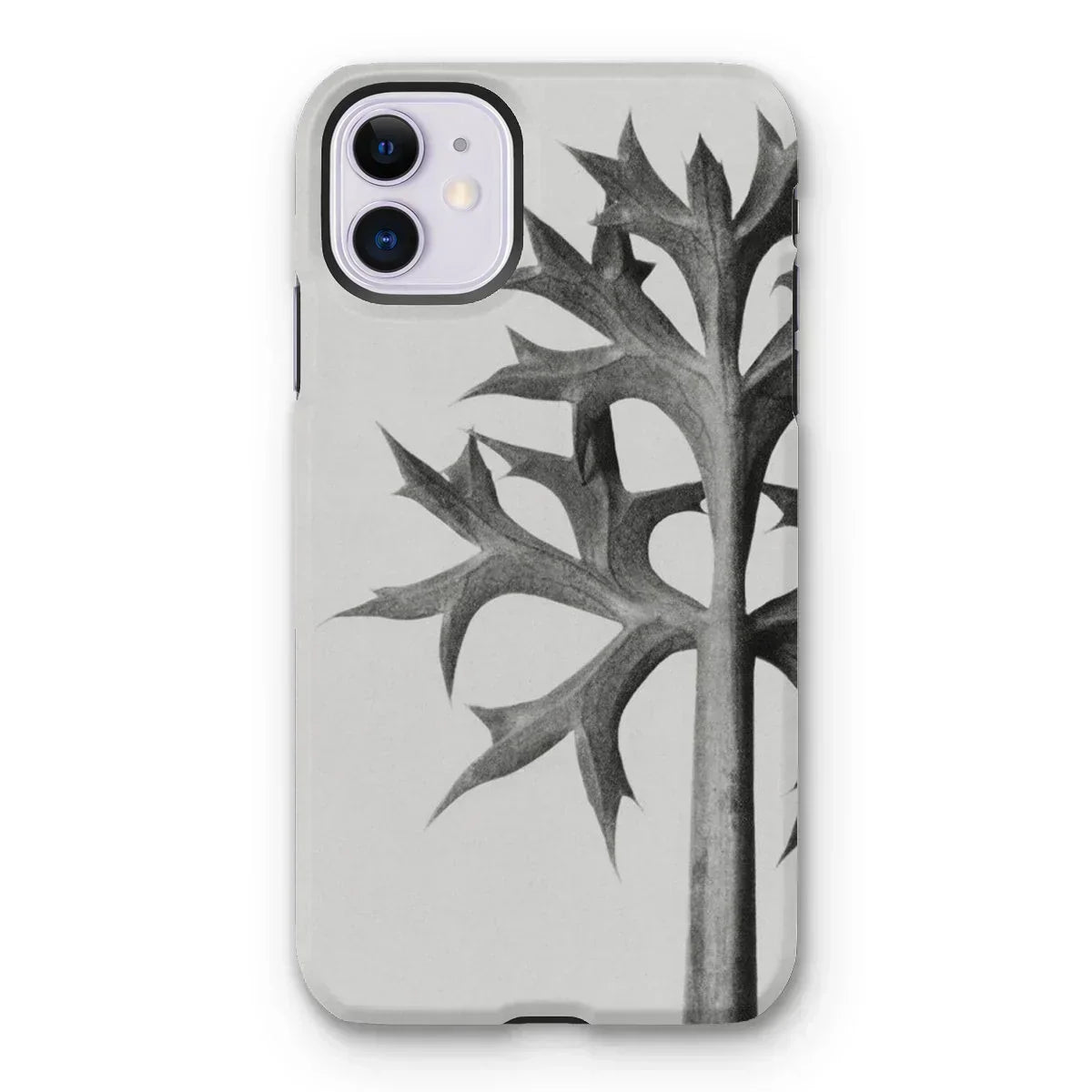 Eryngium Bourgatii (mediterranean Sea Holly) - Karl Blossfeldt Iphone Case, 11 / Matte, Iphone Case Black White Botanical Design Thorny
