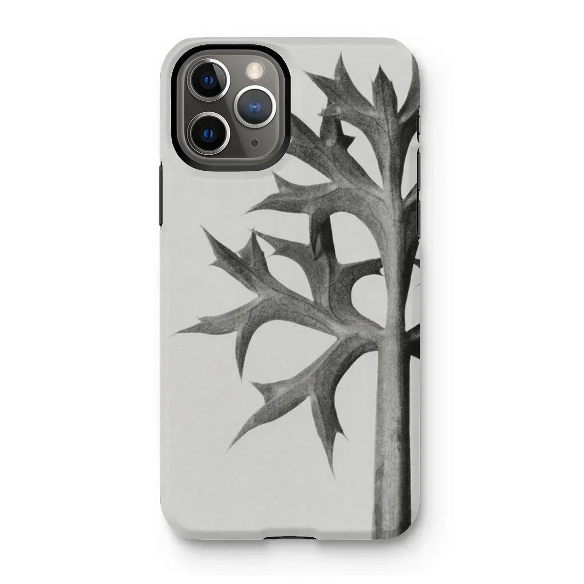 Eryngium Bourgatii (mediterranean Sea Holly) - Karl Blossfeldt Iphone Case, 11 Pro / Matte, Iphone Case Black White Image Thorny Plant Stem