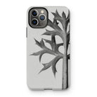 Eryngium Bourgatii (mediterranean Sea Holly) - Karl Blossfeldt Iphone Case, 11 Pro / Matte, Iphone Case Black White Image Thorny Plant Stem