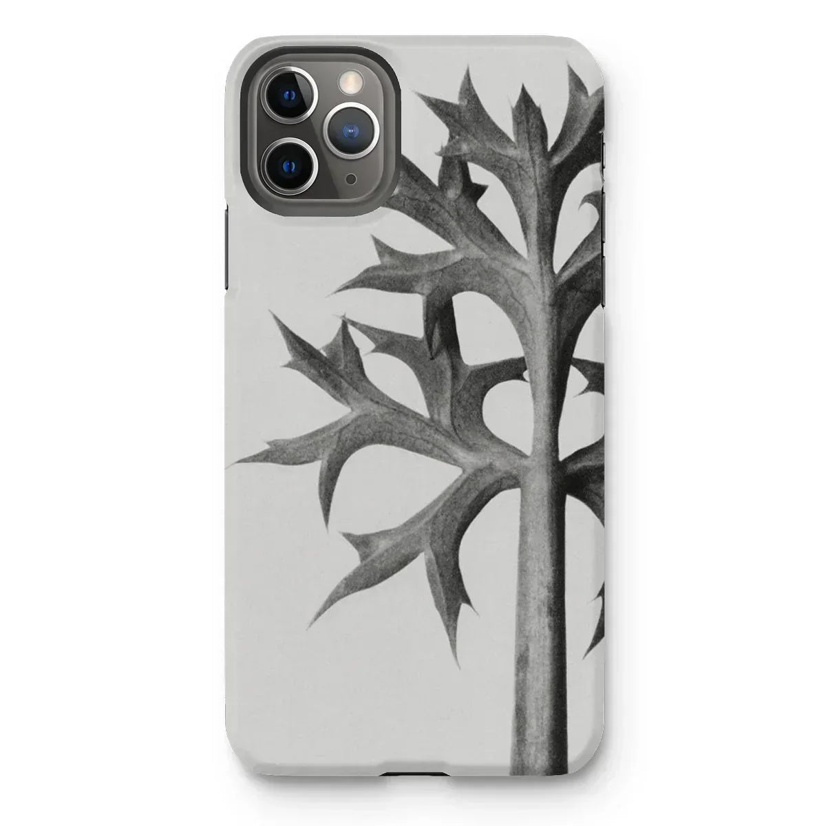 Eryngium Bourgatii (mediterranean Sea Holly) - Karl Blossfeldt Iphone Case, 11 Pro Max / Matte, Iphone Case Black White Botanical Print