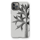 Eryngium Bourgatii (mediterranean Sea Holly) - Karl Blossfeldt Iphone Case, 11 Pro Max / Matte, Iphone Case Black White Botanical Print