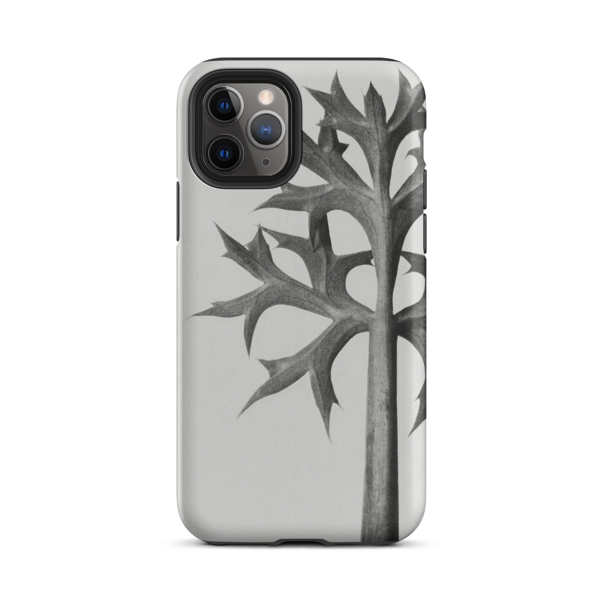 Eryngium Bourgatii (mediterranean Sea Holly) Karl Blossfeldt Iphone Case, 11 Pro Max / Matte, Gray Phone Case Leaf Design