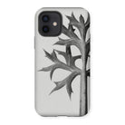 Eryngium Bourgatii (mediterranean Sea Holly) - Karl Blossfeldt Iphone Case, 12 / Matte, Phone Case Black White Design Leaf Branch Sharp