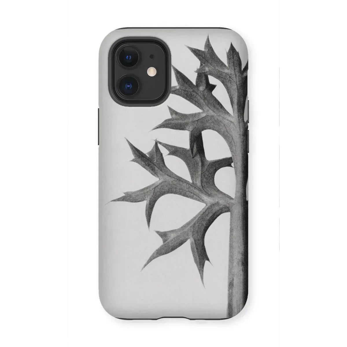 Eryngium Bourgatii (mediterranean Sea Holly) - Karl Blossfeldt Iphone Case, 12 Mini / Matte, Phone Case Black White Design Oak Leaves