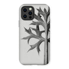 Eryngium Bourgatii (mediterranean Sea Holly) - Karl Blossfeldt Iphone Case, 12 Pro / Matte, Phone Case Black White Design Leaf Branch Sharp