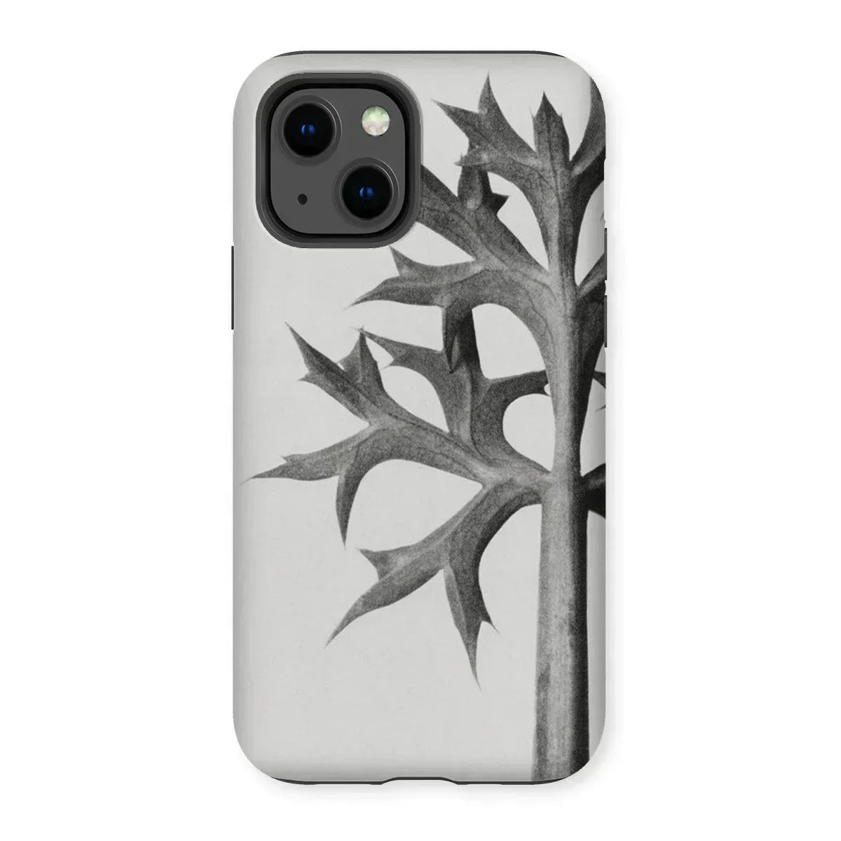 Eryngium Bourgatii (mediterranean Sea Holly) - Karl Blossfeldt Iphone Case, 13 / Matte, Phone Case Black White Design Leafy Branch Twig