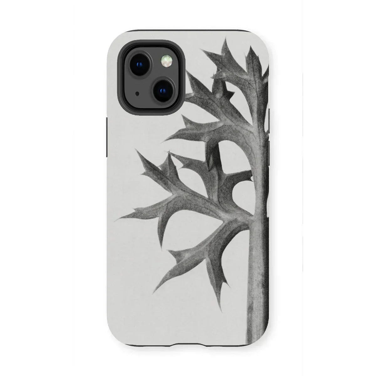 Eryngium Bourgatii (mediterranean Sea Holly) - Karl Blossfeldt Iphone Case, 13 Mini / Matte, Phone Case Black White Design Oak Leaves