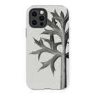 Eryngium Bourgatii (mediterranean Sea Holly) - Karl Blossfeldt Iphone Case, 13 Pro / Matte, Phone Case Black White Design Leafy Plant Stem