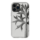 Eryngium Bourgatii (mediterranean Sea Holly) - Karl Blossfeldt Iphone Case, 14 Pro Max / Matte, Smartphone Case Black-and-white Botanical