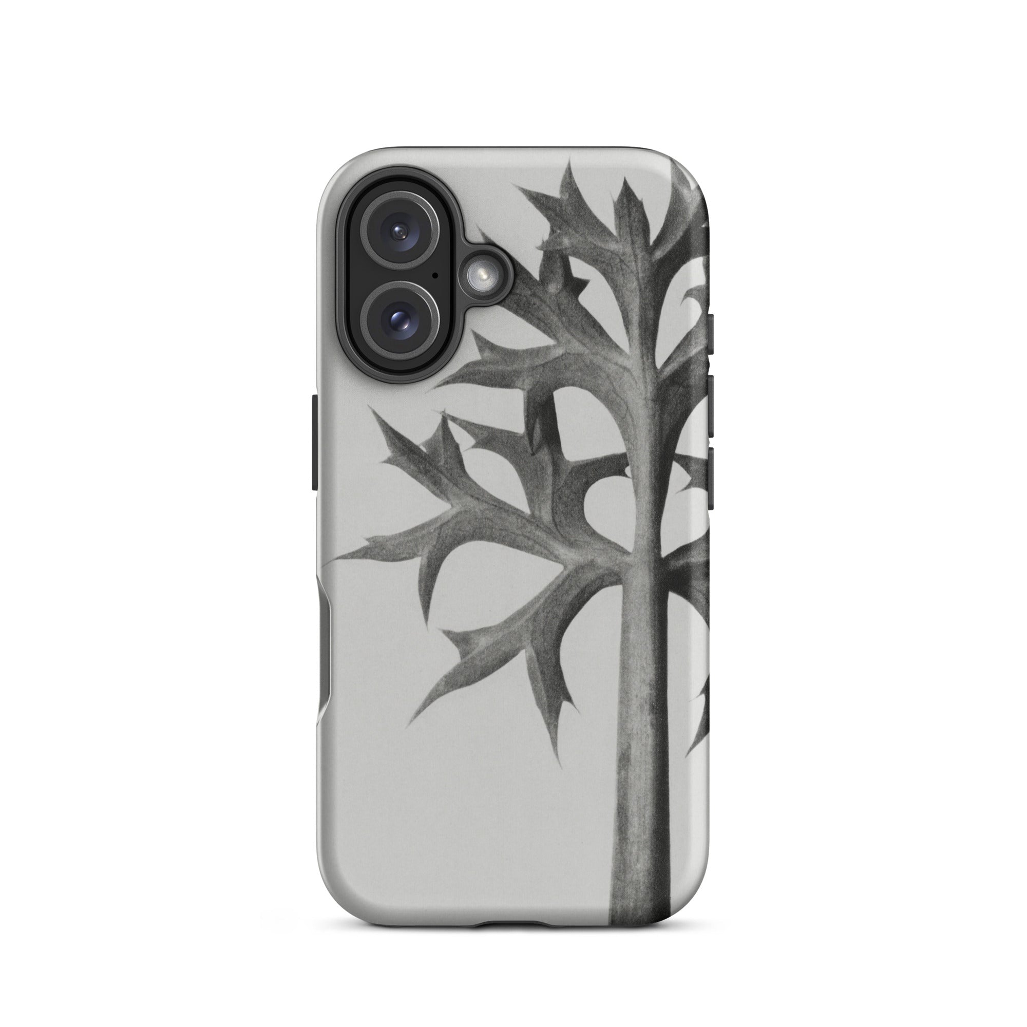 Eryngium Bourgatii (mediterranean Sea Holly) Karl Blossfeldt Iphone Case, 16 / Matte, Gray Phone Case Plant Design