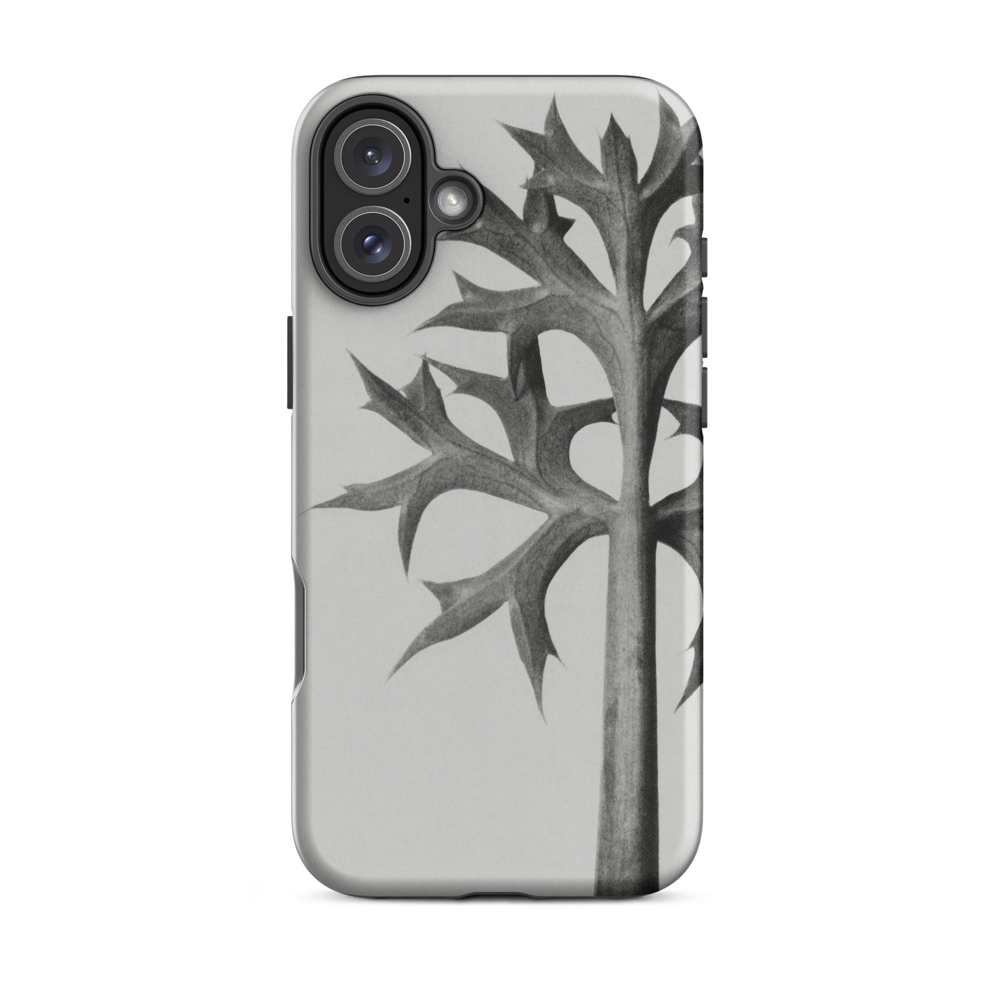 Eryngium Bourgatii (mediterranean Sea Holly) Karl Blossfeldt Iphone Case, 16 Plus / Matte, Gray Phone Case Plant Design