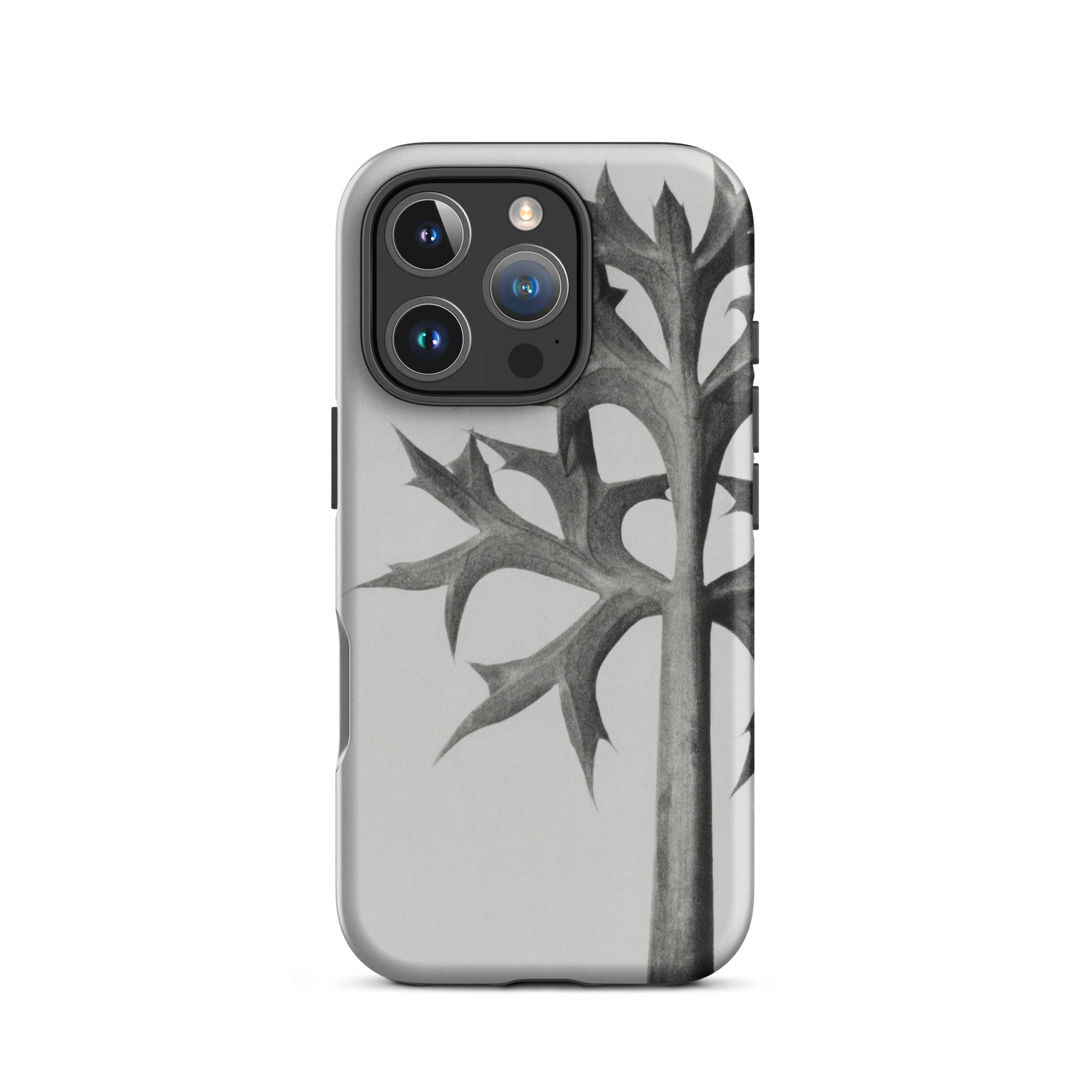 Eryngium Bourgatii (mediterranean Sea Holly) Karl Blossfeldt Iphone Case, 16 Pro / Matte, Gray Phone Case Stylized Tree Design