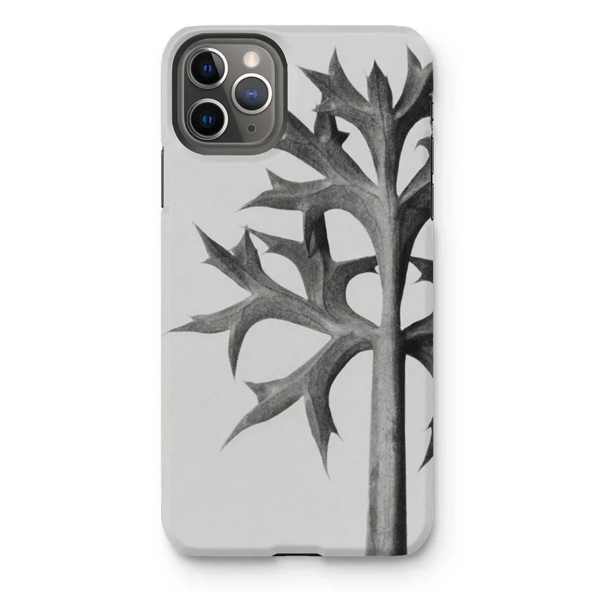 Eryngium Bourgatii (mediterranean Sea Holly) - Karl Blossfeldt Iphone Case - 11 Pro Max / Matte