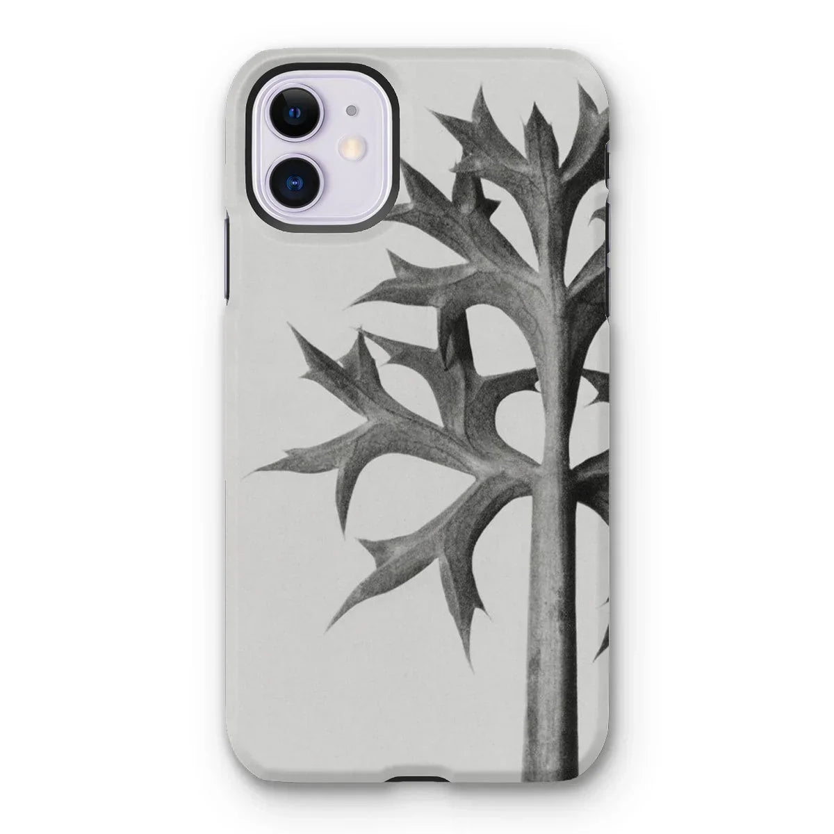 Eryngium Bourgatii (mediterranean Sea Holly) - Karl Blossfeldt Iphone Case - 11 / Matte