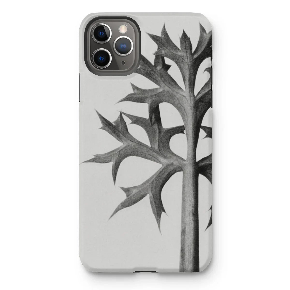 Eryngium Bourgatii (mediterranean Sea Holly) - Karl Blossfeldt Iphone Case 11 Pro Max / Matte Mobile Phone Cases