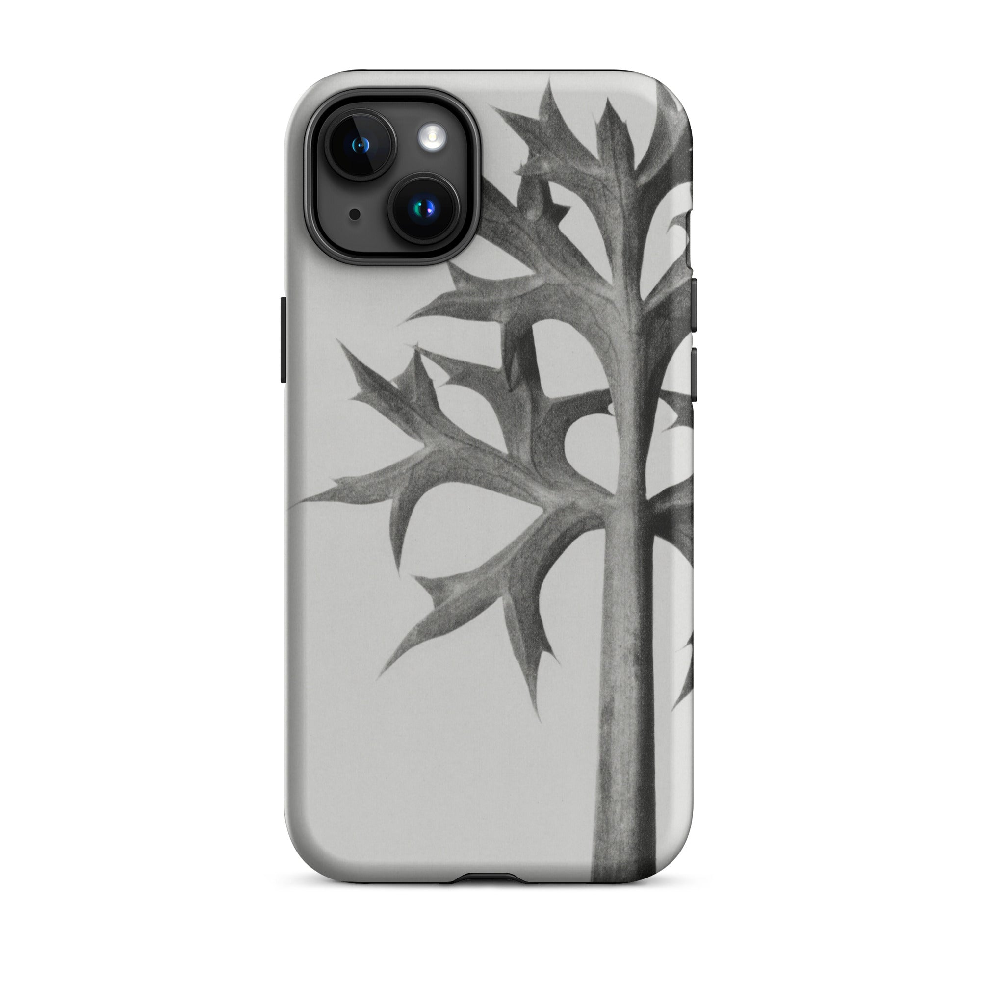 Eryngium Bourgatii (mediterranean Sea Holly) Karl Blossfeldt Iphone Case, Gray Phone Case Leaf Design