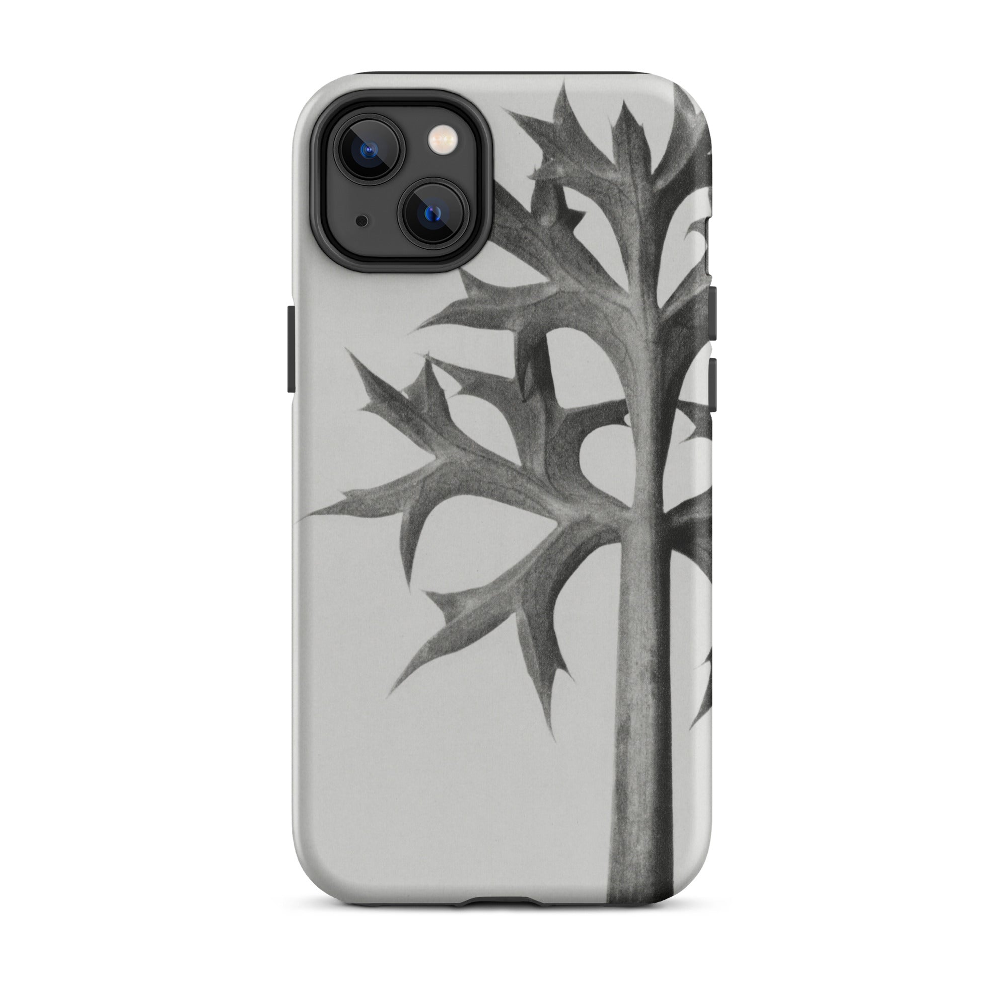 Eryngium Bourgatii (mediterranean Sea Holly) Karl Blossfeldt Iphone Case, Gray Phone Case Leaf Design