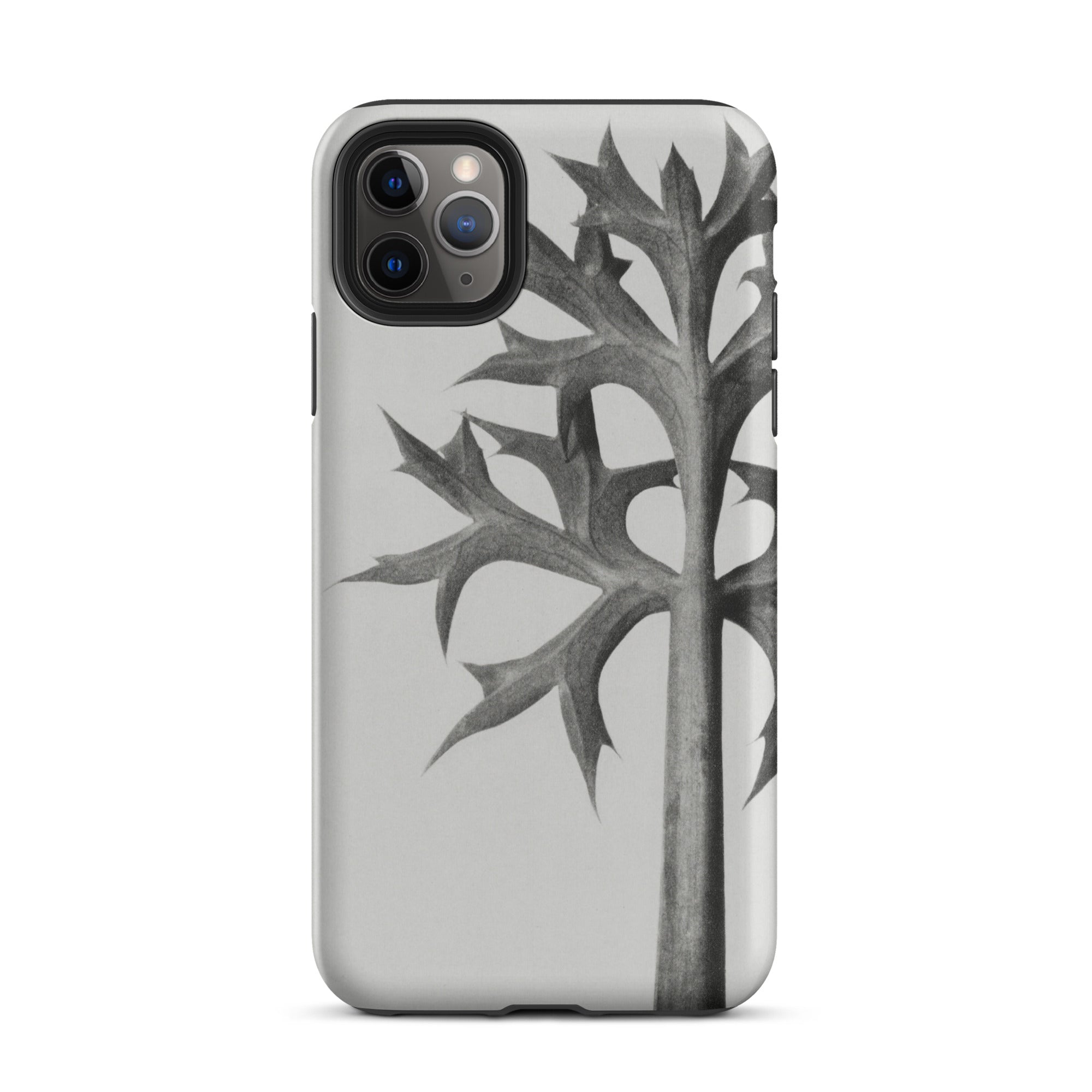 Eryngium Bourgatii (mediterranean Sea Holly) Karl Blossfeldt Iphone Case, Gray Phone Case Leaf Design
