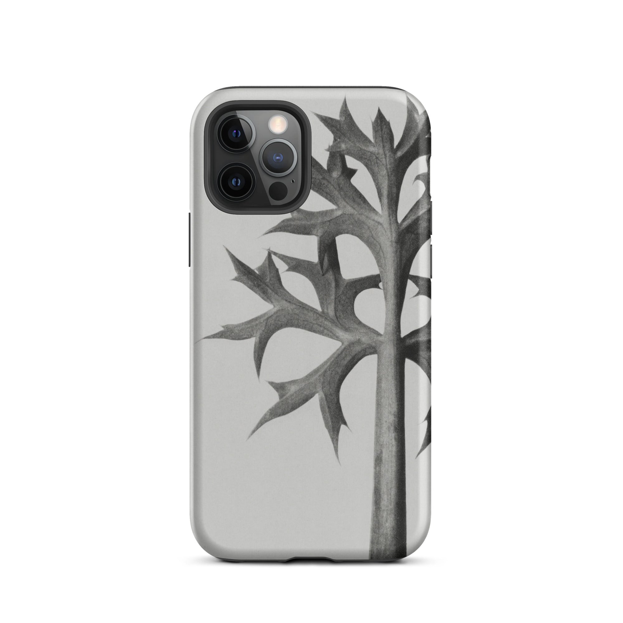 Eryngium Bourgatii (mediterranean Sea Holly) Karl Blossfeldt Iphone Case, Gray Phone Case Leaf Design