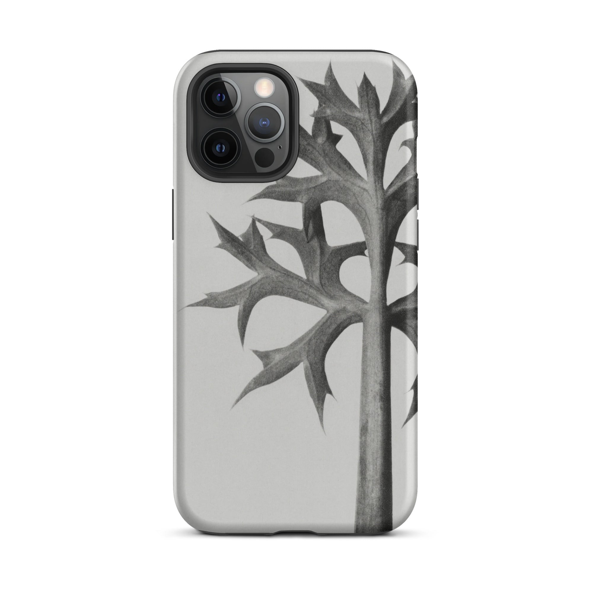 Eryngium Bourgatii (mediterranean Sea Holly) Karl Blossfeldt Iphone Case, Gray Phone Case Plant Design