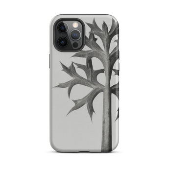 Eryngium Bourgatii (mediterranean Sea Holly) - Karl Blossfeldt Iphone Case, Gray Phone Case Plant Design