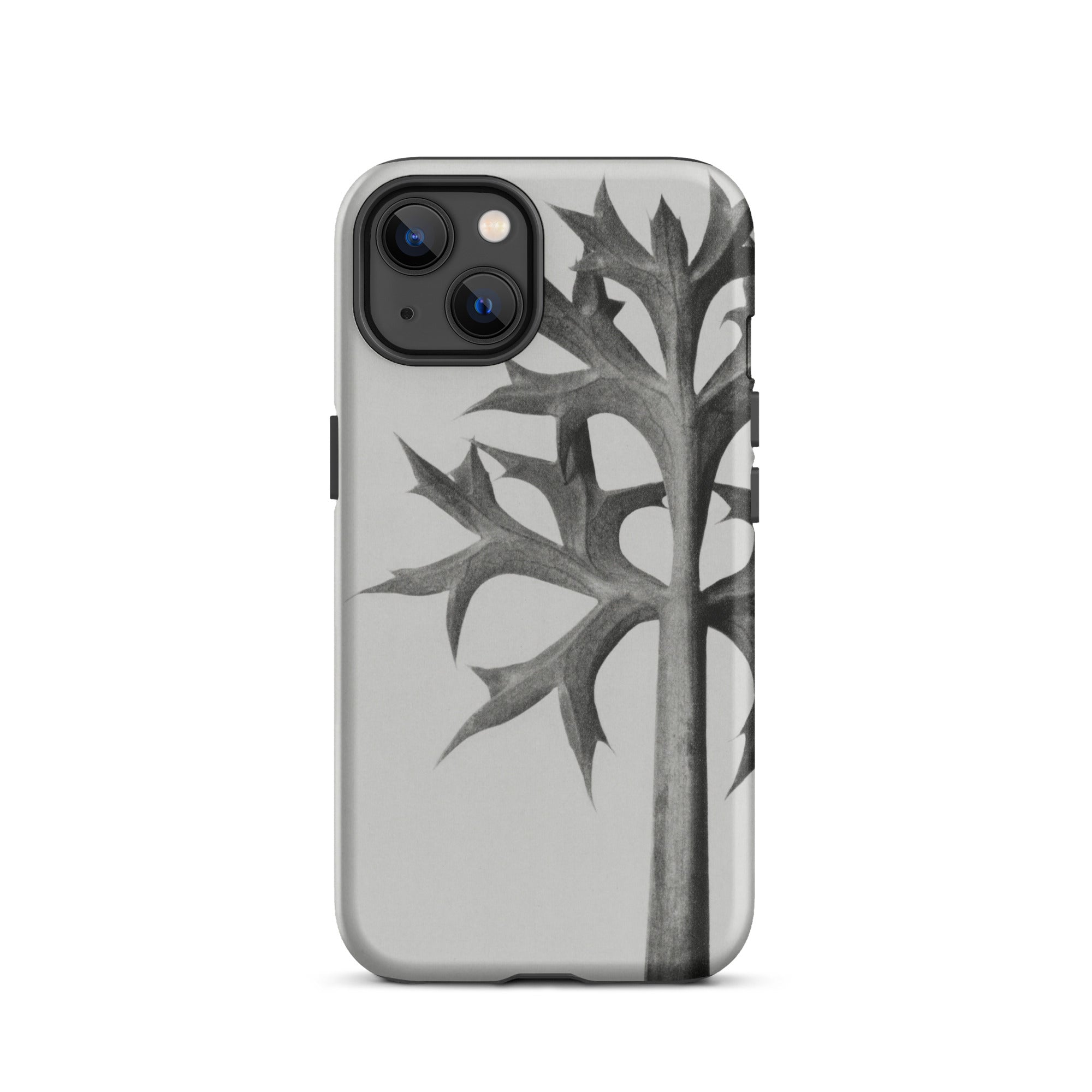 Eryngium Bourgatii (mediterranean Sea Holly) Karl Blossfeldt Iphone Case, Gray Phone Case Plant Design