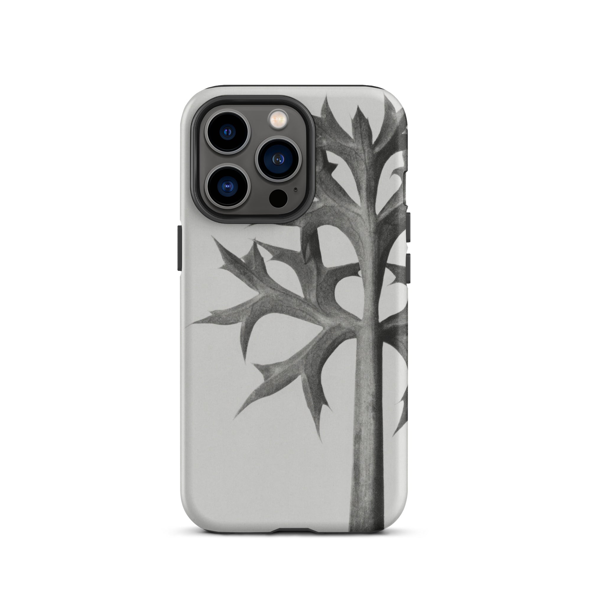 Eryngium Bourgatii (mediterranean Sea Holly) Karl Blossfeldt Iphone Case, Gray Phone Case Plant Design