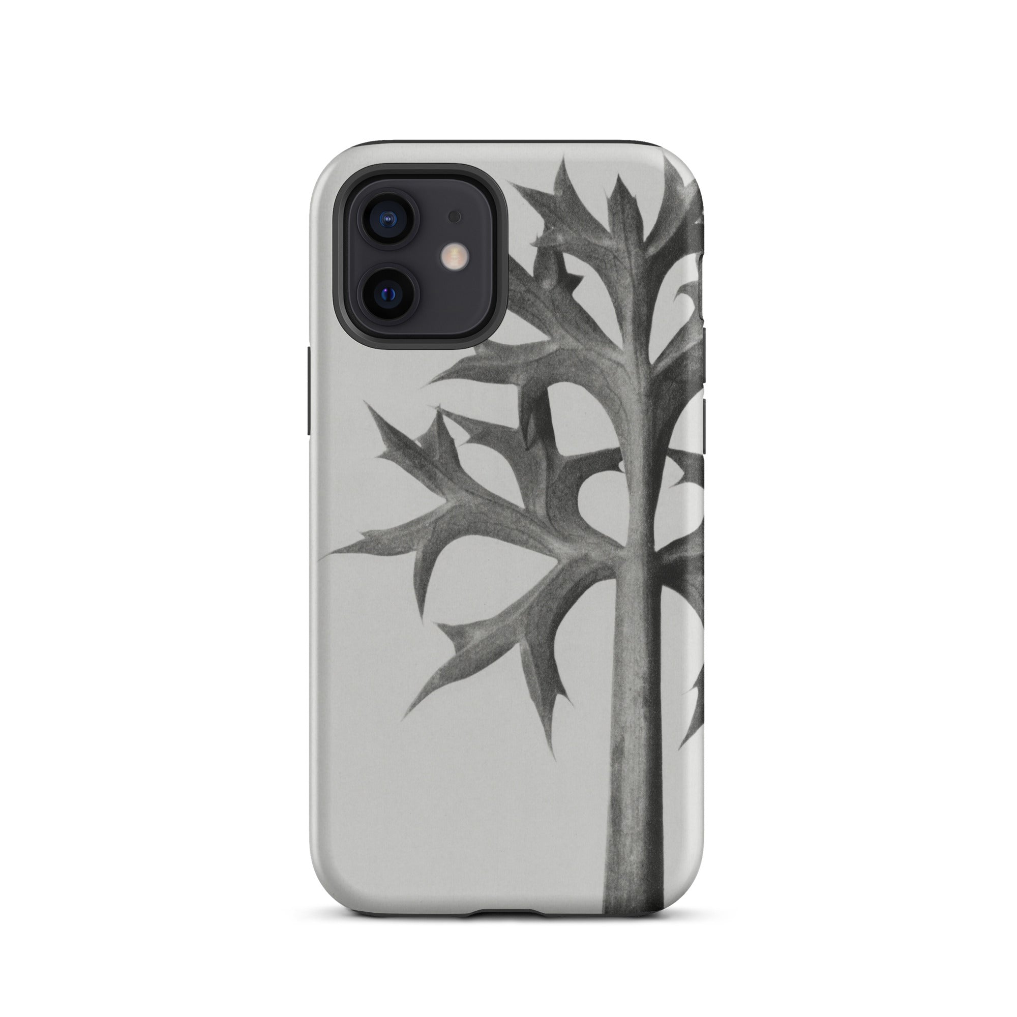 Eryngium Bourgatii (mediterranean Sea Holly) Karl Blossfeldt Iphone Case, Gray Phone Case Stylized Leaf Design