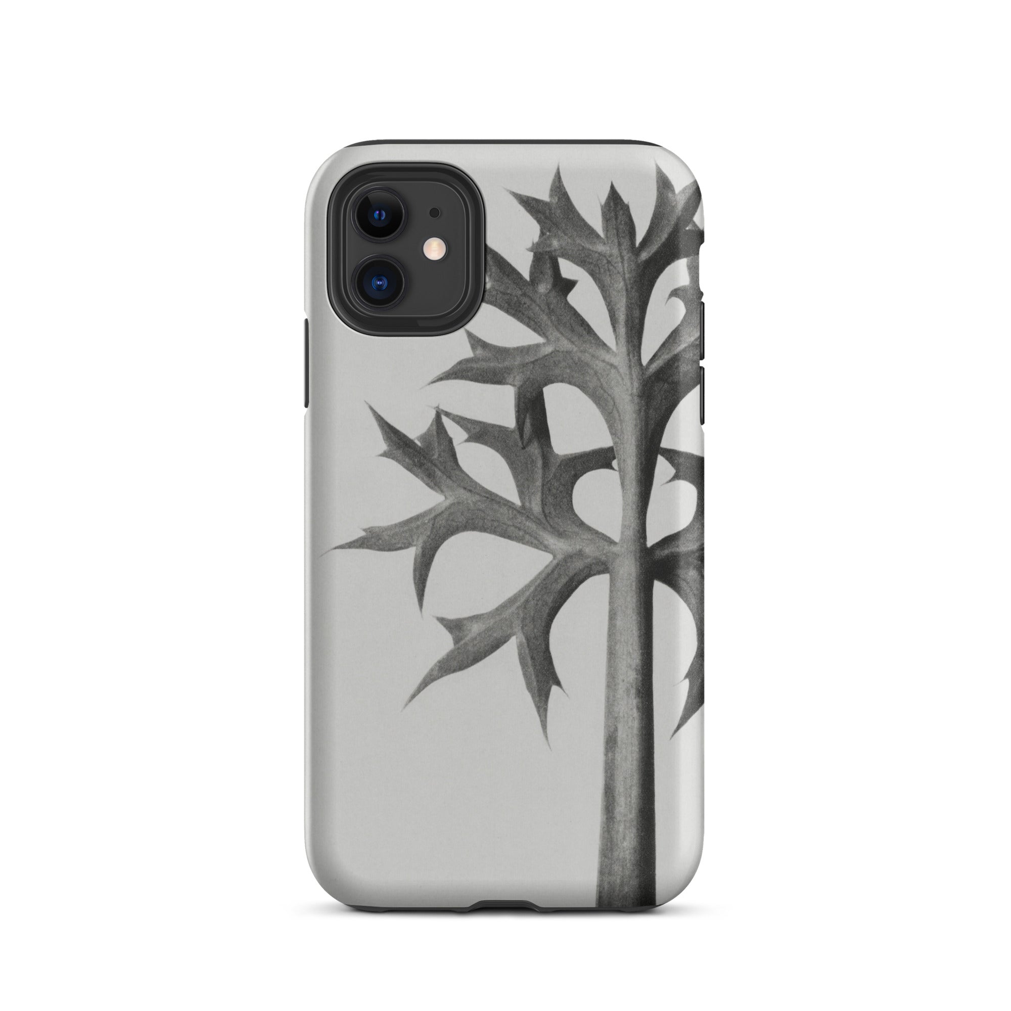 Eryngium Bourgatii (mediterranean Sea Holly) Karl Blossfeldt Iphone Case, Gray Phone Case Stylized Leaf Design