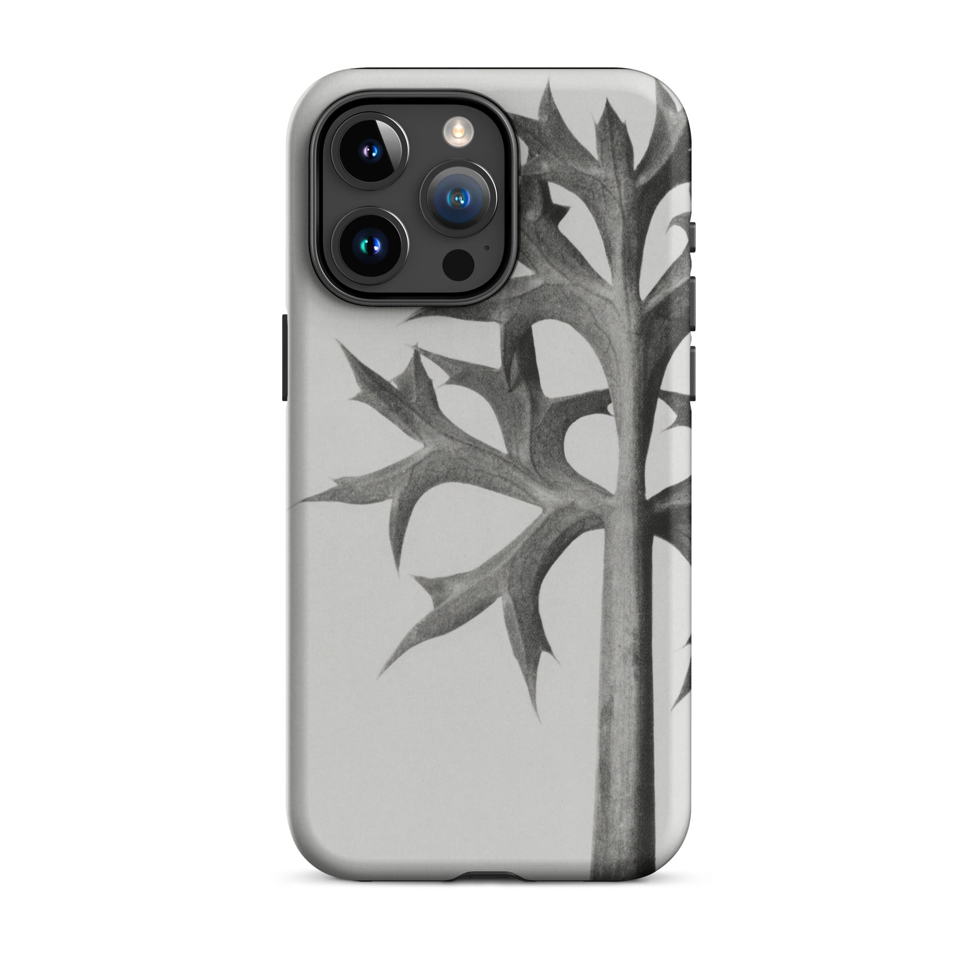 Eryngium Bourgatii (mediterranean Sea Holly) Karl Blossfeldt Iphone Case, Gray Phone Case Thistle Design