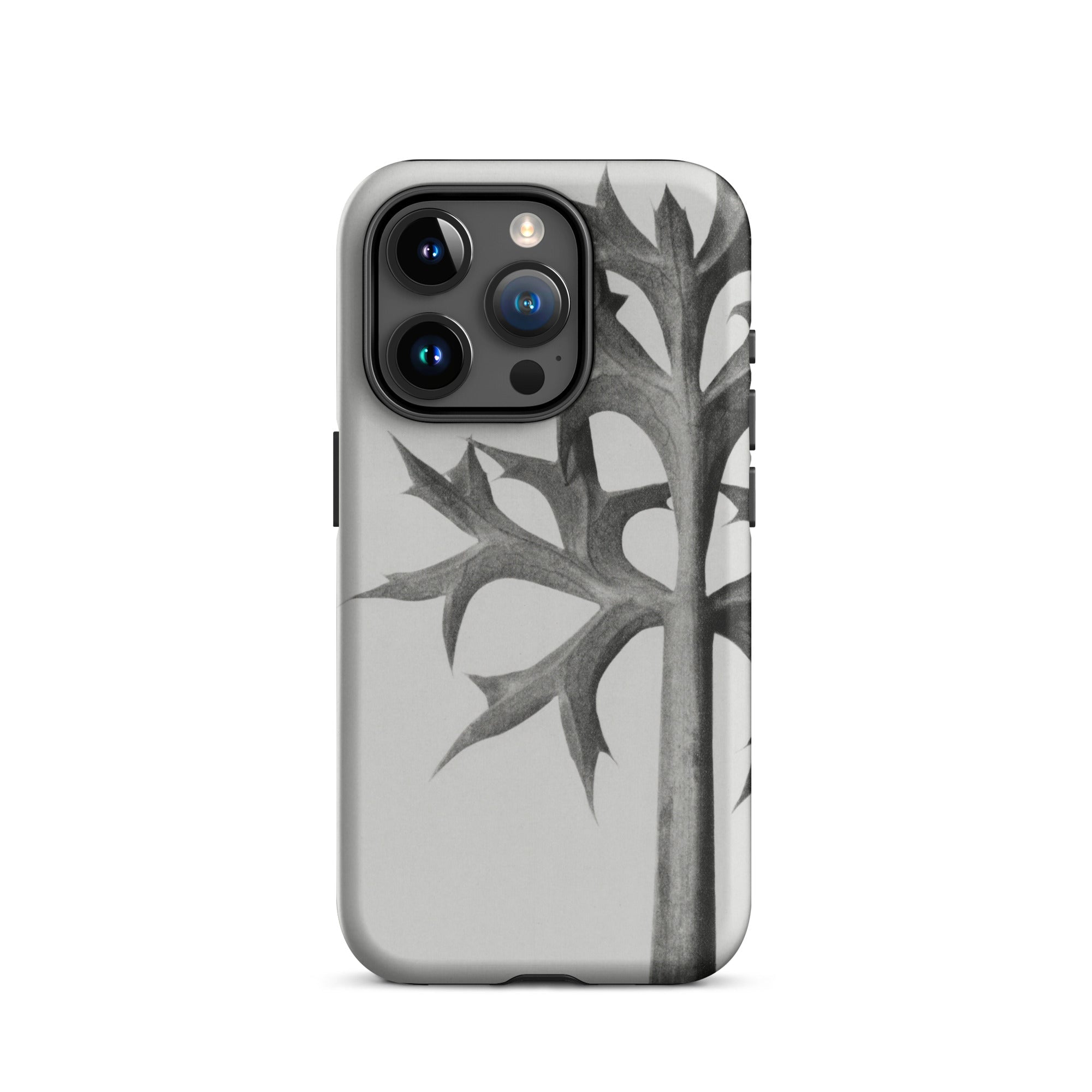 Eryngium Bourgatii (mediterranean Sea Holly) Karl Blossfeldt Iphone Case, Gray Phone Case Thistle Design