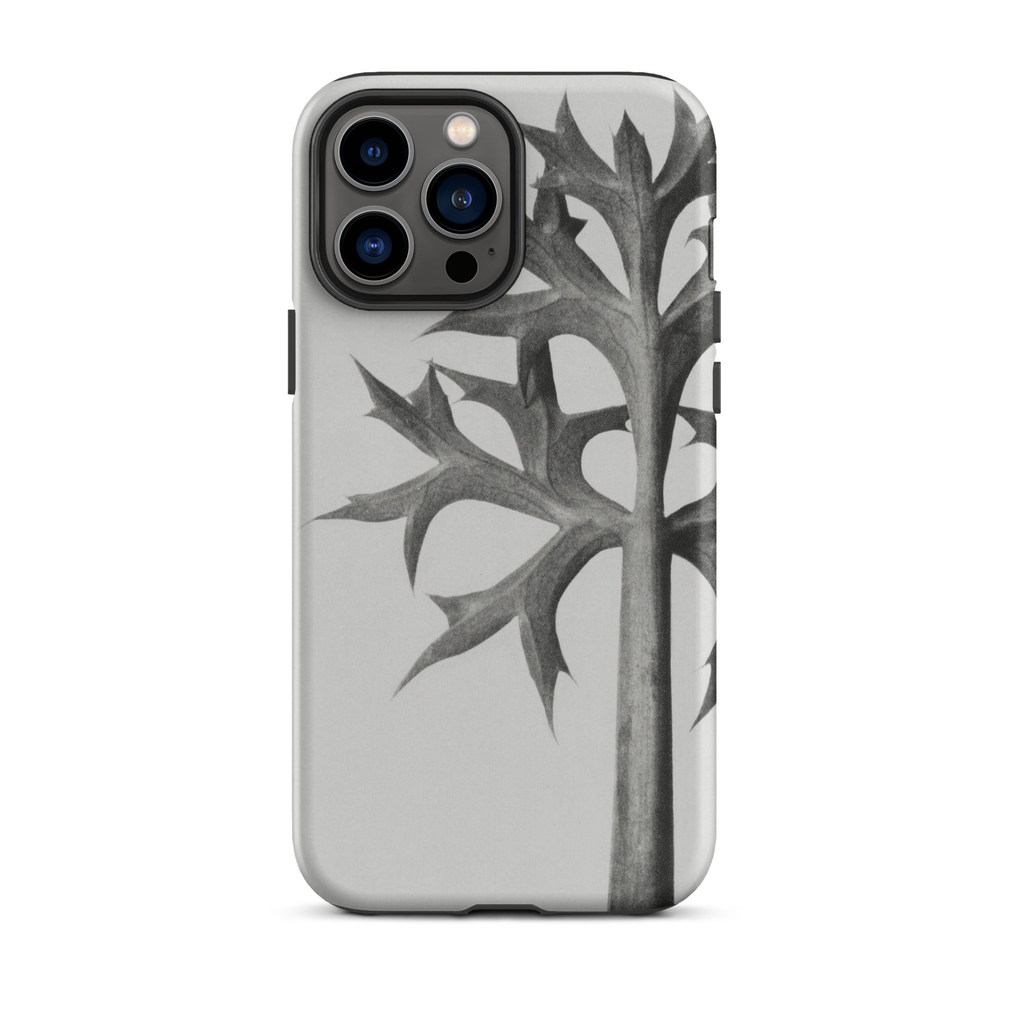 Eryngium Bourgatii (mediterranean Sea Holly) Karl Blossfeldt Iphone Case, Gray Phone Case Thorny Plant Design