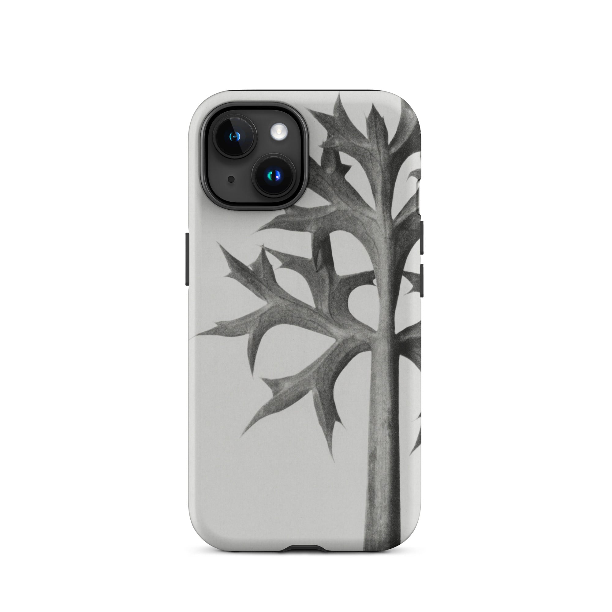 Eryngium Bourgatii (mediterranean Sea Holly) Karl Blossfeldt Iphone Case, Gray Iphone Case Stylized Leaf Design