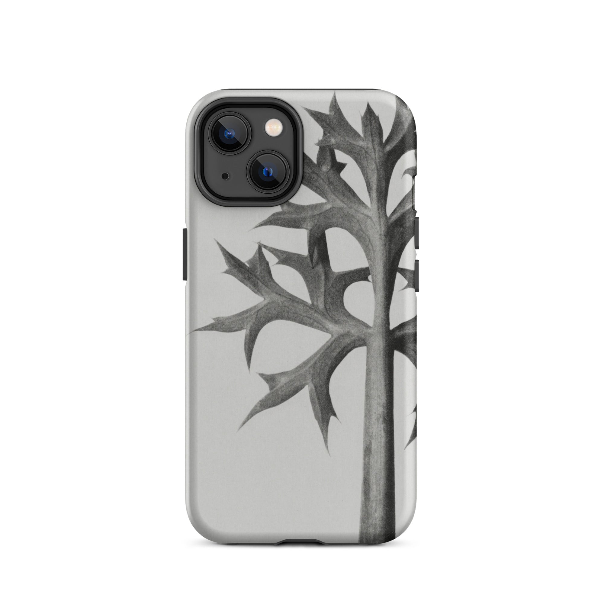 Eryngium Bourgatii (mediterranean Sea Holly) Karl Blossfeldt Iphone Case, Gray Iphone Case Stylized Plant Design