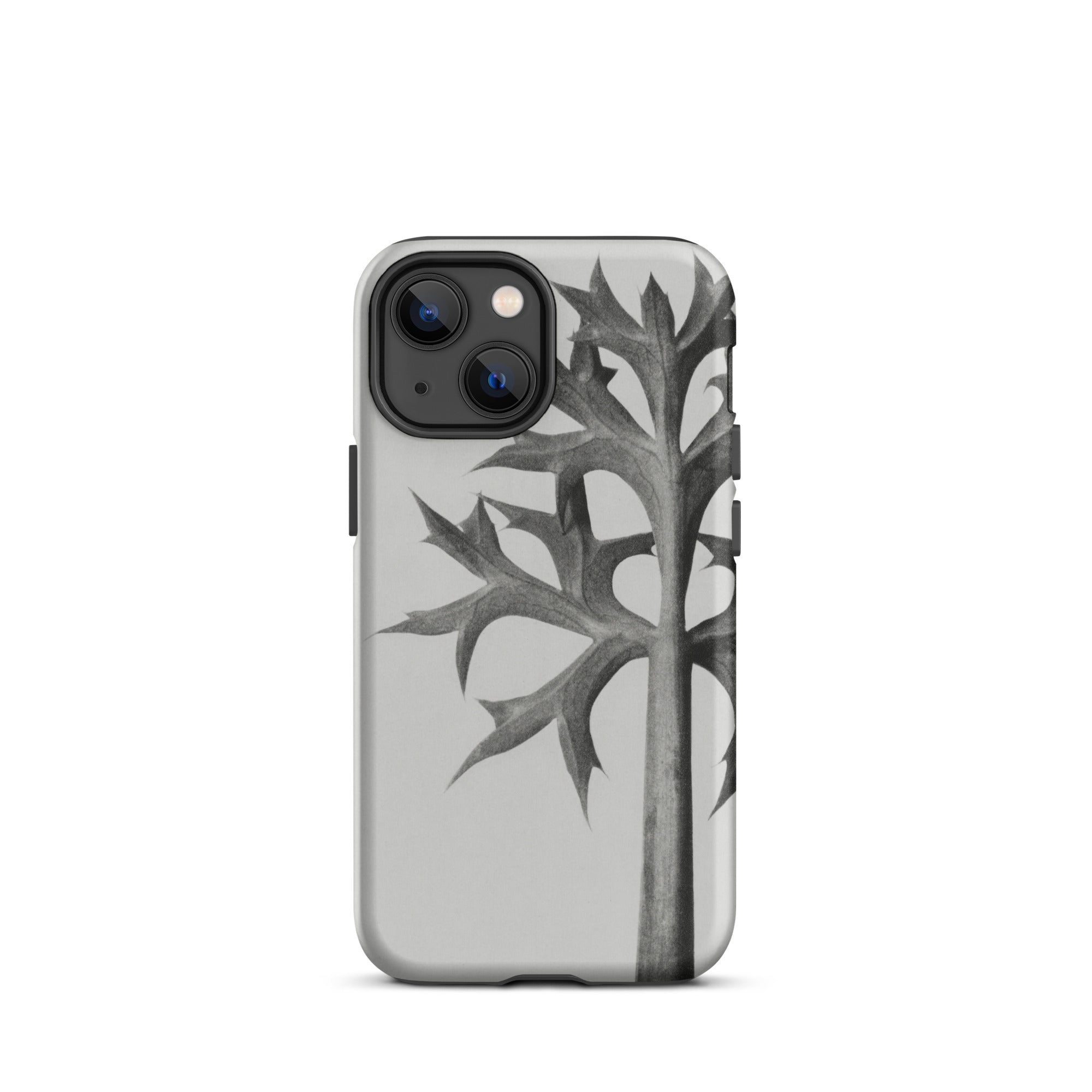 Eryngium Bourgatii (mediterranean Sea Holly) Karl Blossfeldt Iphone Case, Gray Iphone Case Thistle Design