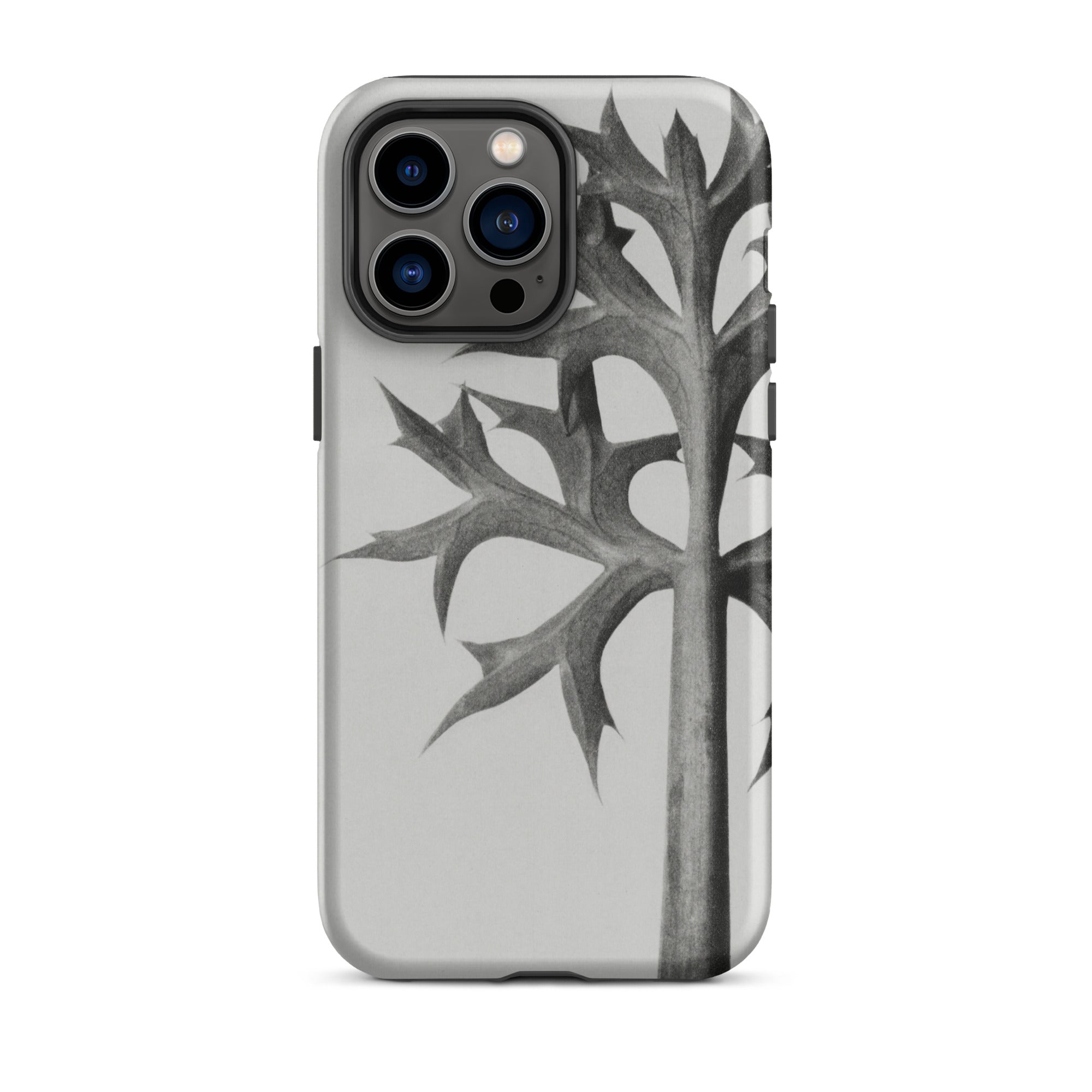 Eryngium Bourgatii (mediterranean Sea Holly) Karl Blossfeldt Iphone Case, Iphone Case Grayscale Leaf Design
