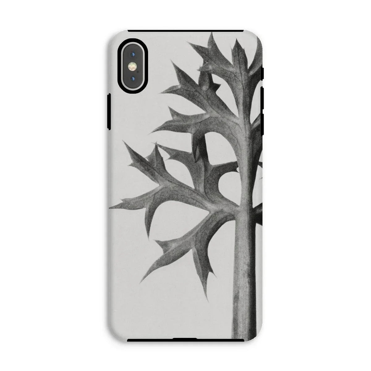 Eryngium Bourgatii (mediterranean Sea Holly) - Karl Blossfeldt Iphone Case Xs Max / Matte Mobile Phone Cases