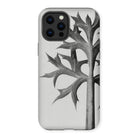 Eryngium Bourgatii (mediterranean Sea Holly) - Karl Blossfeldt Iphone Case - 12 Pro Max / Matte