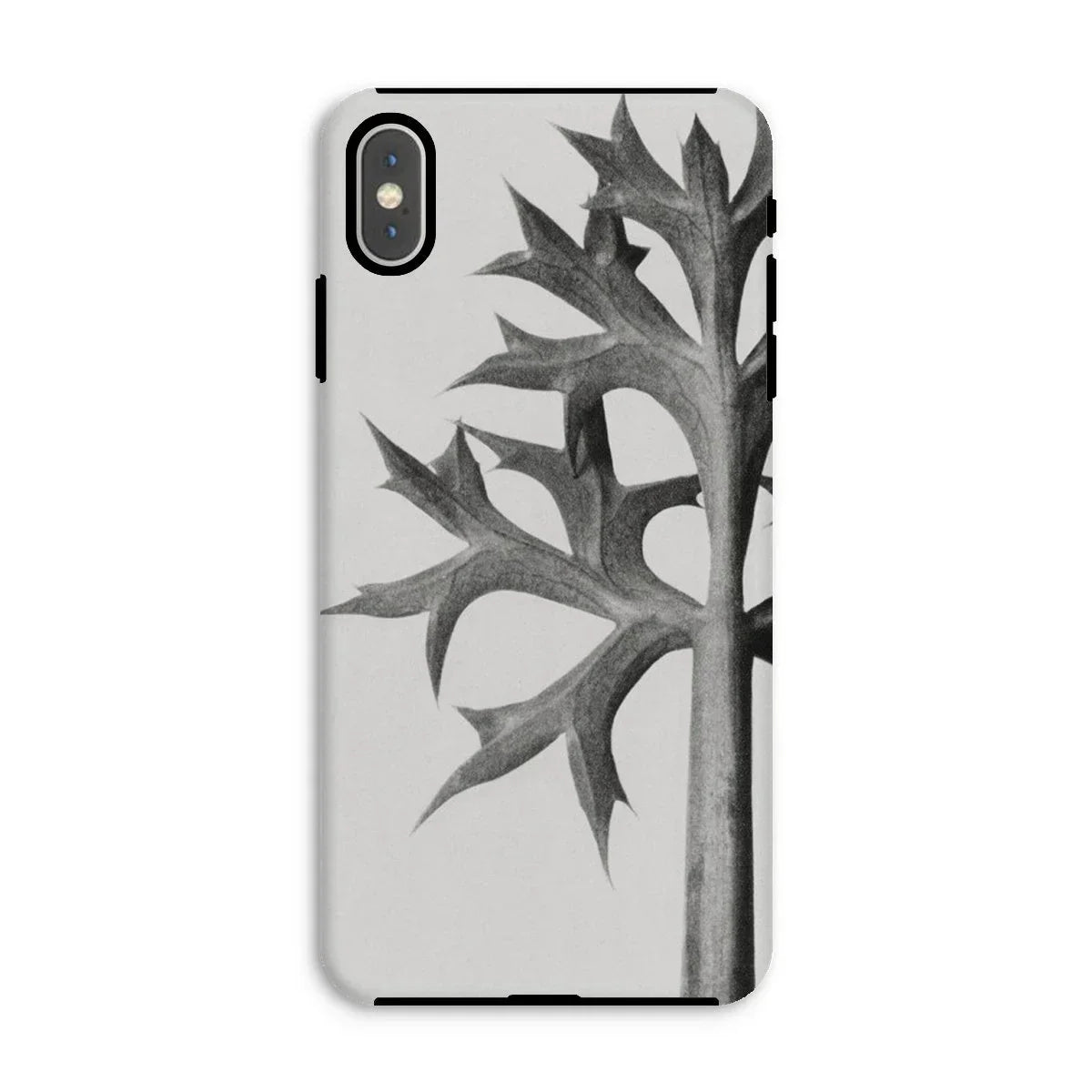 Eryngium Bourgatii (mediterranean Sea Holly) - Karl Blossfeldt Iphone Case - Xs Max / Matte