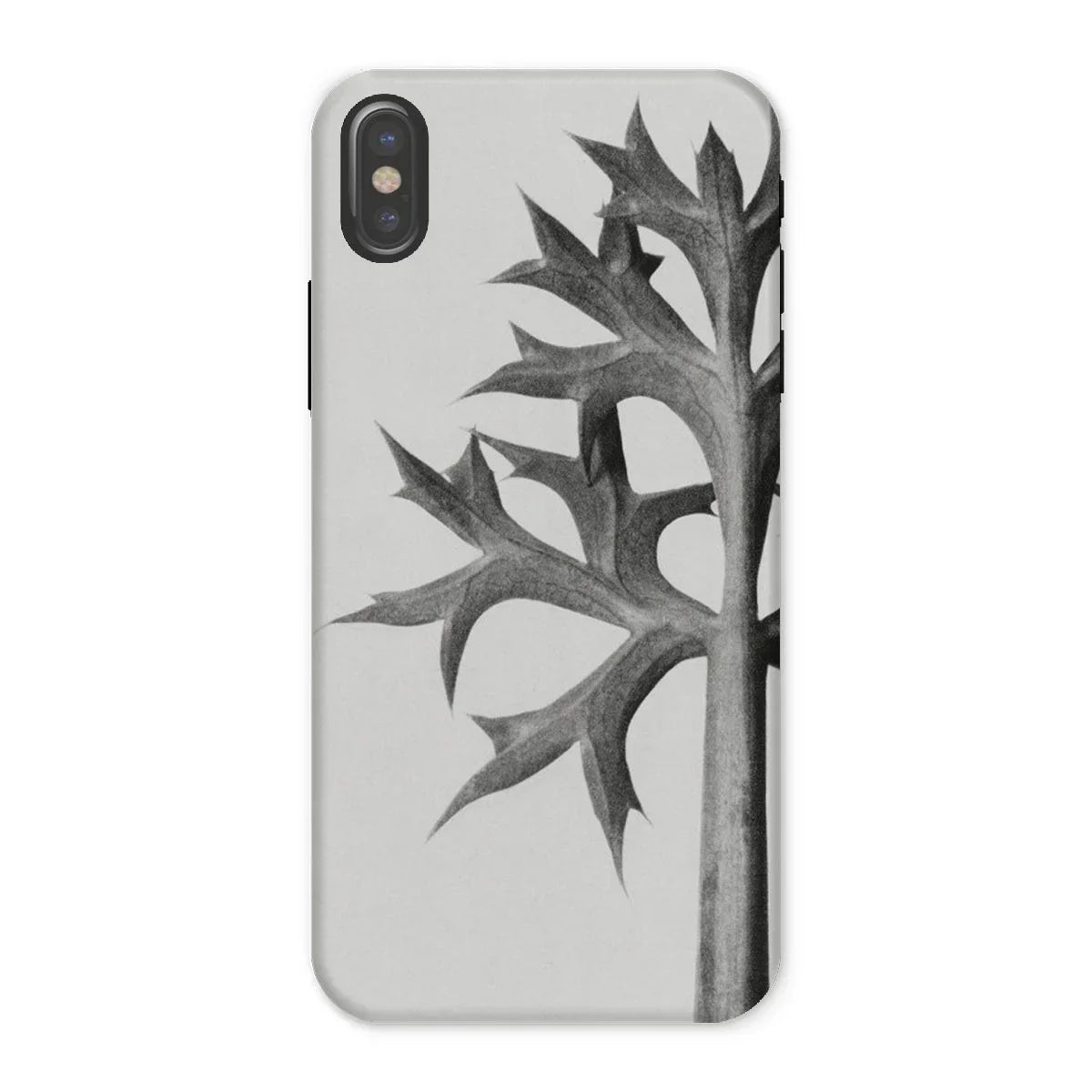 Eryngium Bourgatii (mediterranean Sea Holly) - Karl Blossfeldt Iphone Case - x / Matte